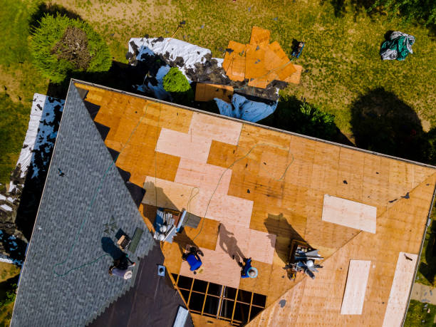 Best Emergency Roof Repair  in Hector, MN