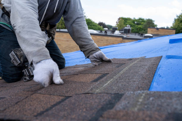 Professional Roofing Contractor in Hector, MN