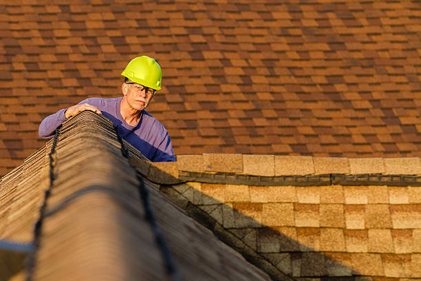 Best Roof Leak Repair  in Hector, MN