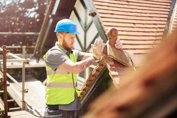 Best Flat Roof Repair Services  in Hector, MN
